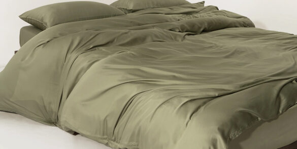 Slashop Bamboo Sheet Set & Duvet Cover - Pet Hair Repellent for Dogs & Cats in Sage Green